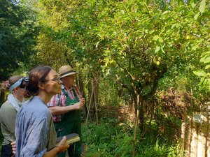 Oksana Yushko, a volunteer and Jochen Bock in the Nordkolleg garden