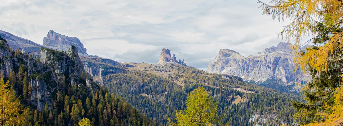 Forest and mountain landscape on a sunny day towards autumn