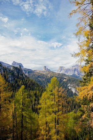Forest and mountain landscape on a sunny day towards autumn