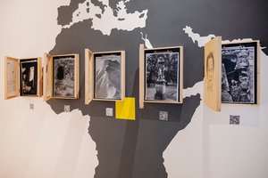 Decorative element: Photo presentation in exhibition