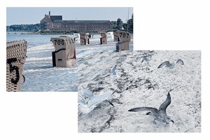 Decorative element: Beach in Eckernförde and seagulls on it