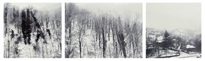 Decorative element: Snowy landscape
