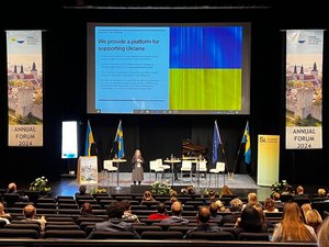 Decorative image: Presentation on supporting Ukraine at conference